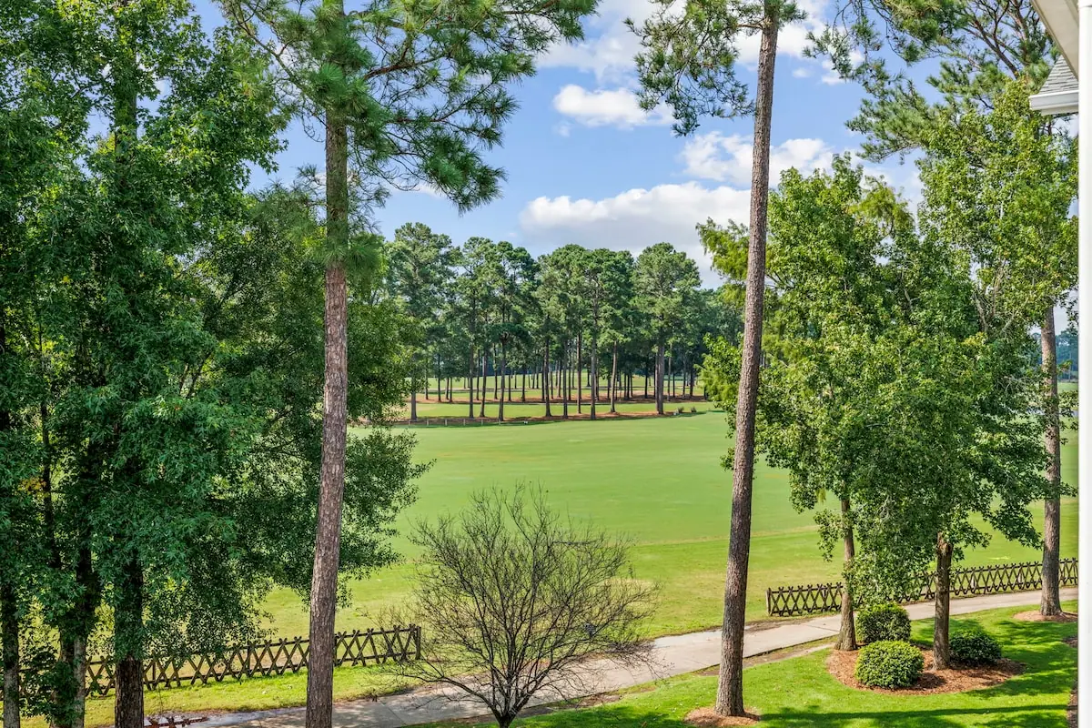 Grassy fairway seen through tall pine trees
